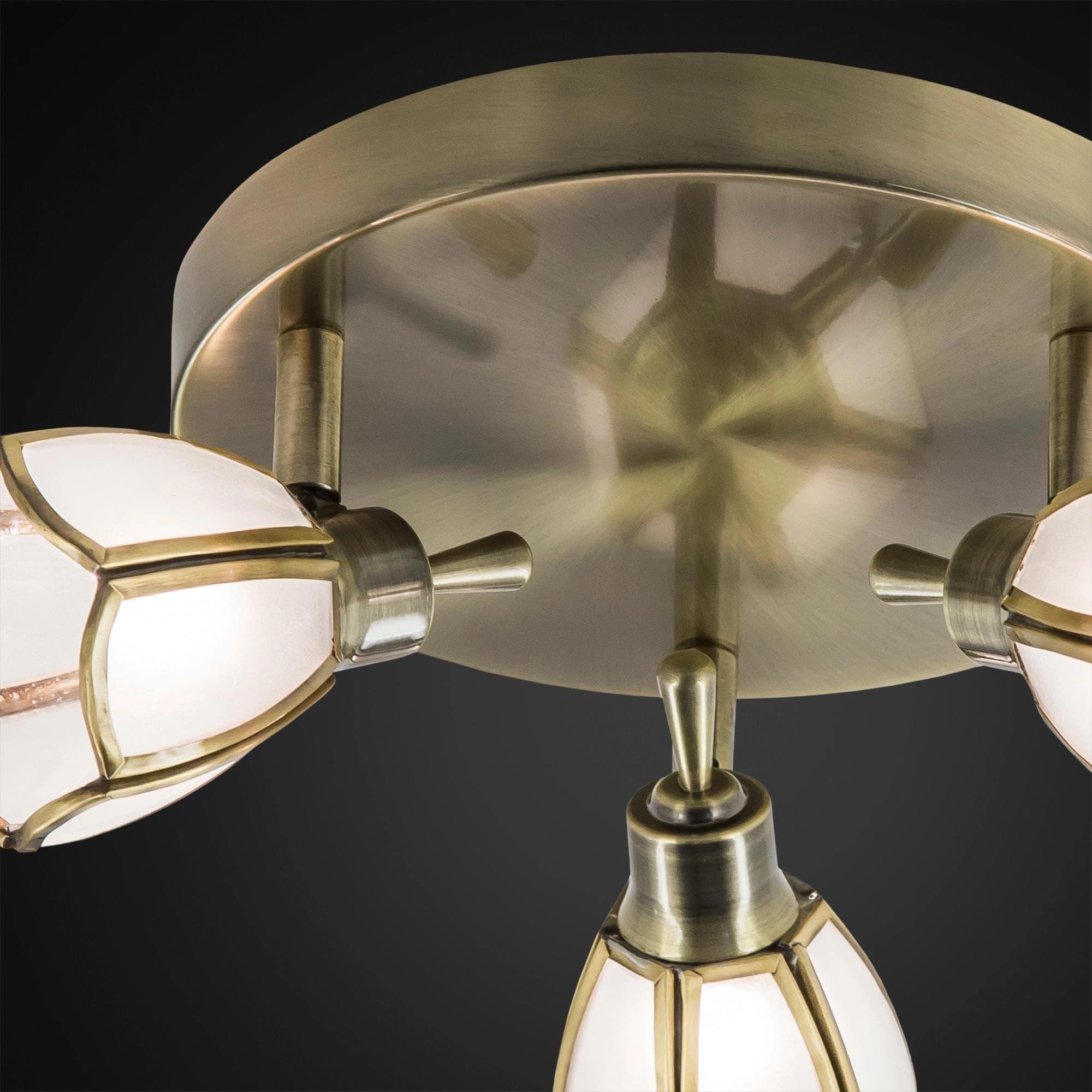 Citilux CL522531 Альтен Бронза Светильник Наст.-Потол. — миниатюра 3
