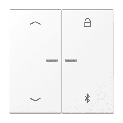 JUNG LS 990 Белый матовый Таймер универсальный Bluetooth с символами "стрелки" LS1751PBTWWM