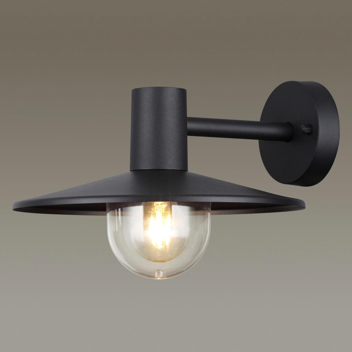 Odeon Light 4833/1W NATURE ODL21 565 черный/стекло Ландшафтный настенный светильник E27 1*40W IP44 FURCADIA — миниатюра 4