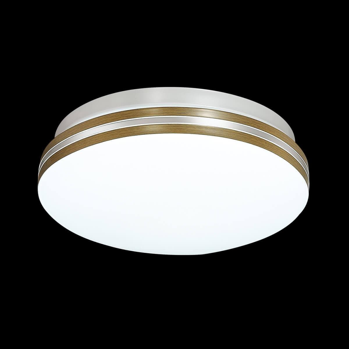 Sonex 3015/AL SN 035 св-к SMALLI пластик LED 12Вт 4000K D200 IP43 — миниатюра 2