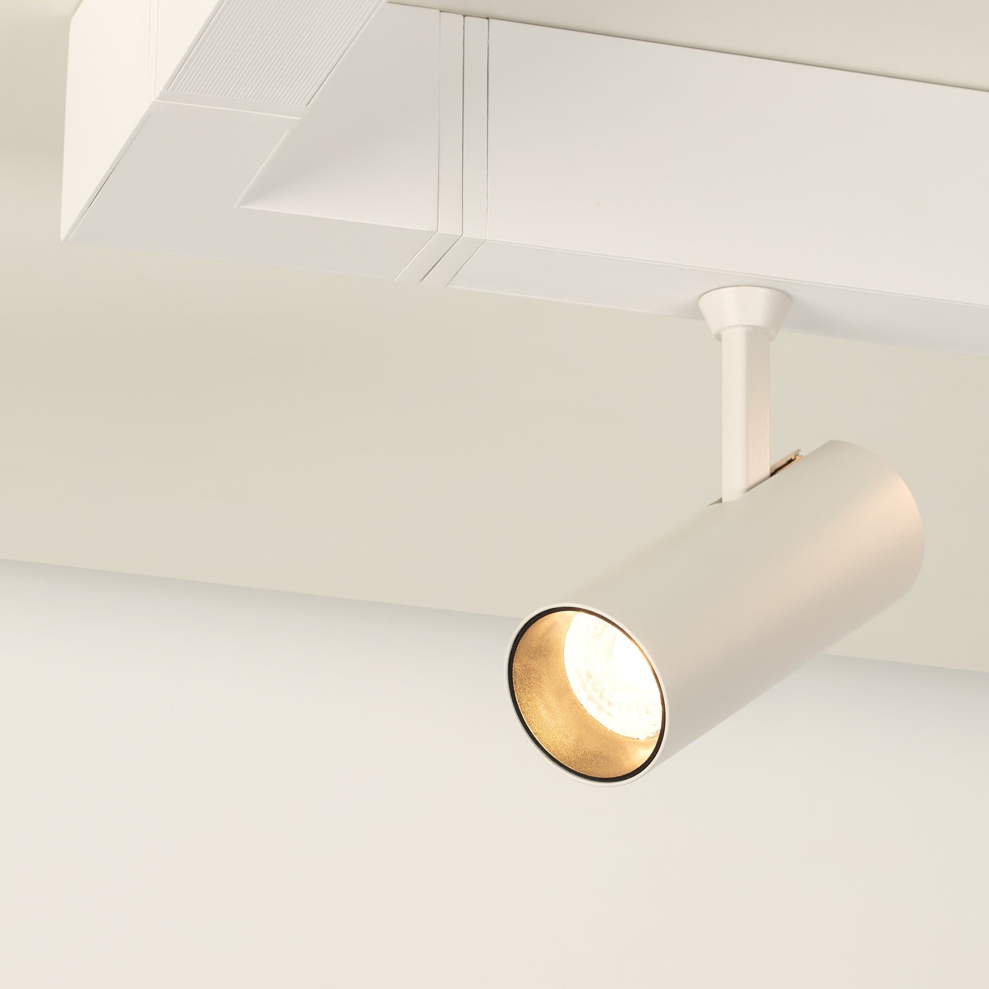 Arlight Светильник CLIP-38-SPOT-R146-6W Warm3000 (WH, 24 deg, 24V) (IP40 Металл, 3 года) 028939 — миниатюра 3