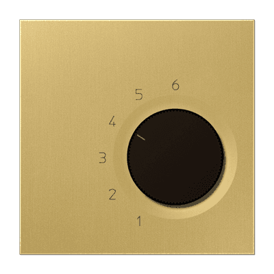 JUNG комнатный термостат, латунь Classic TRME246C