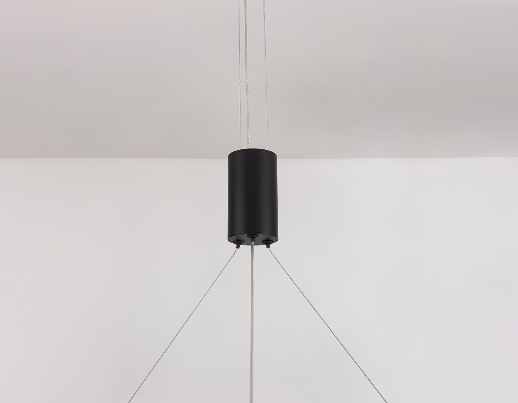 Ambrella Светильник подвесной светодиодный FL5845/1+3 BK черный 40W 3000K/4200K/6400K D600*1200 (без ПДУ) — миниатюра 8