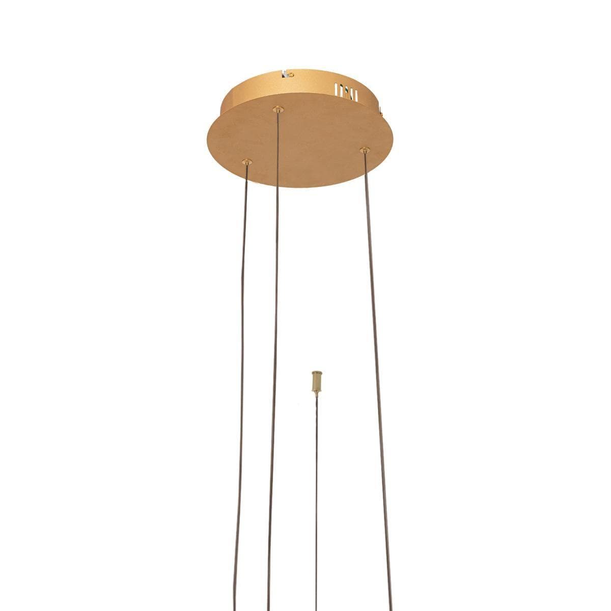 LOFT IT 10017/3S Светильник подвесной Ring, шт — миниатюра 2