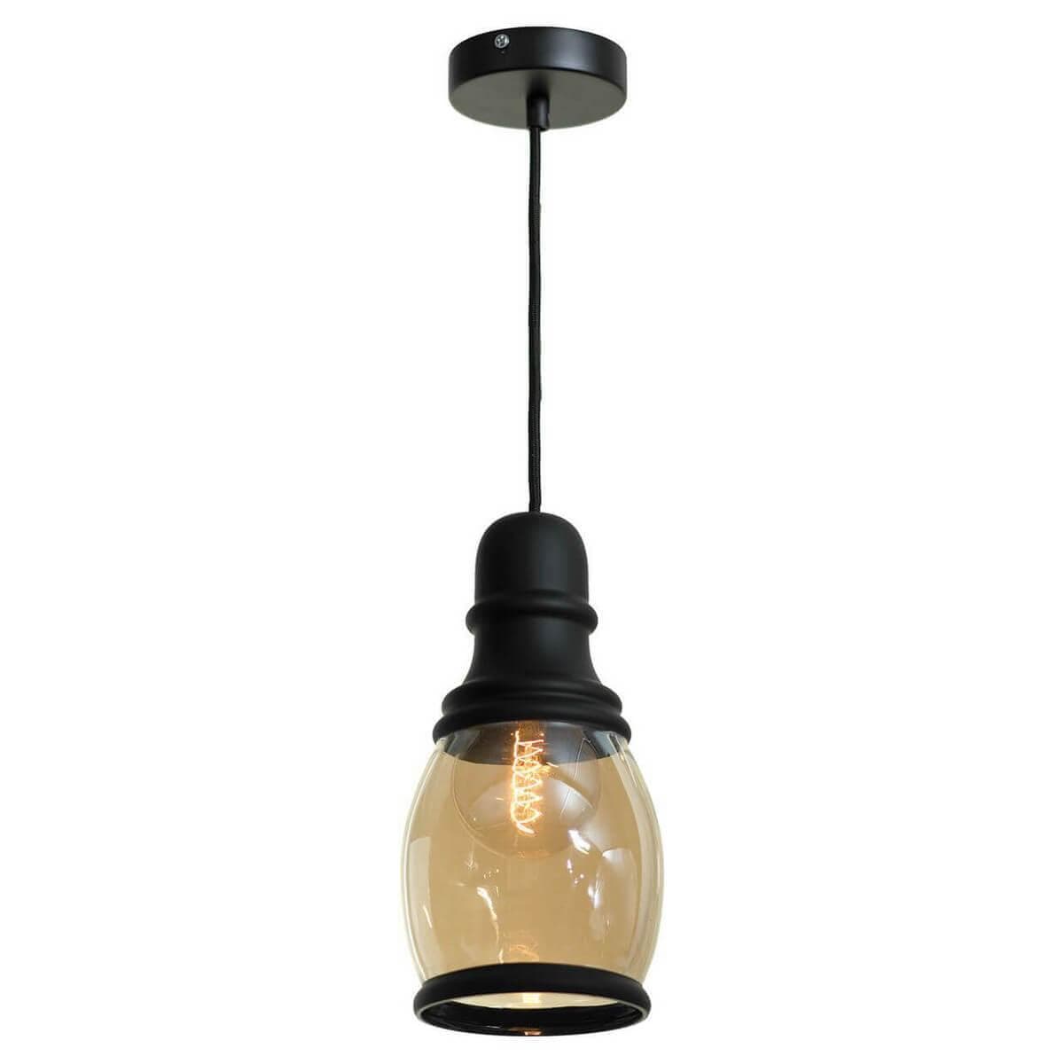 Lussole LOFT Металл Черный /  Стекло Подвес E27 60W LSP-9690 — миниатюра 1