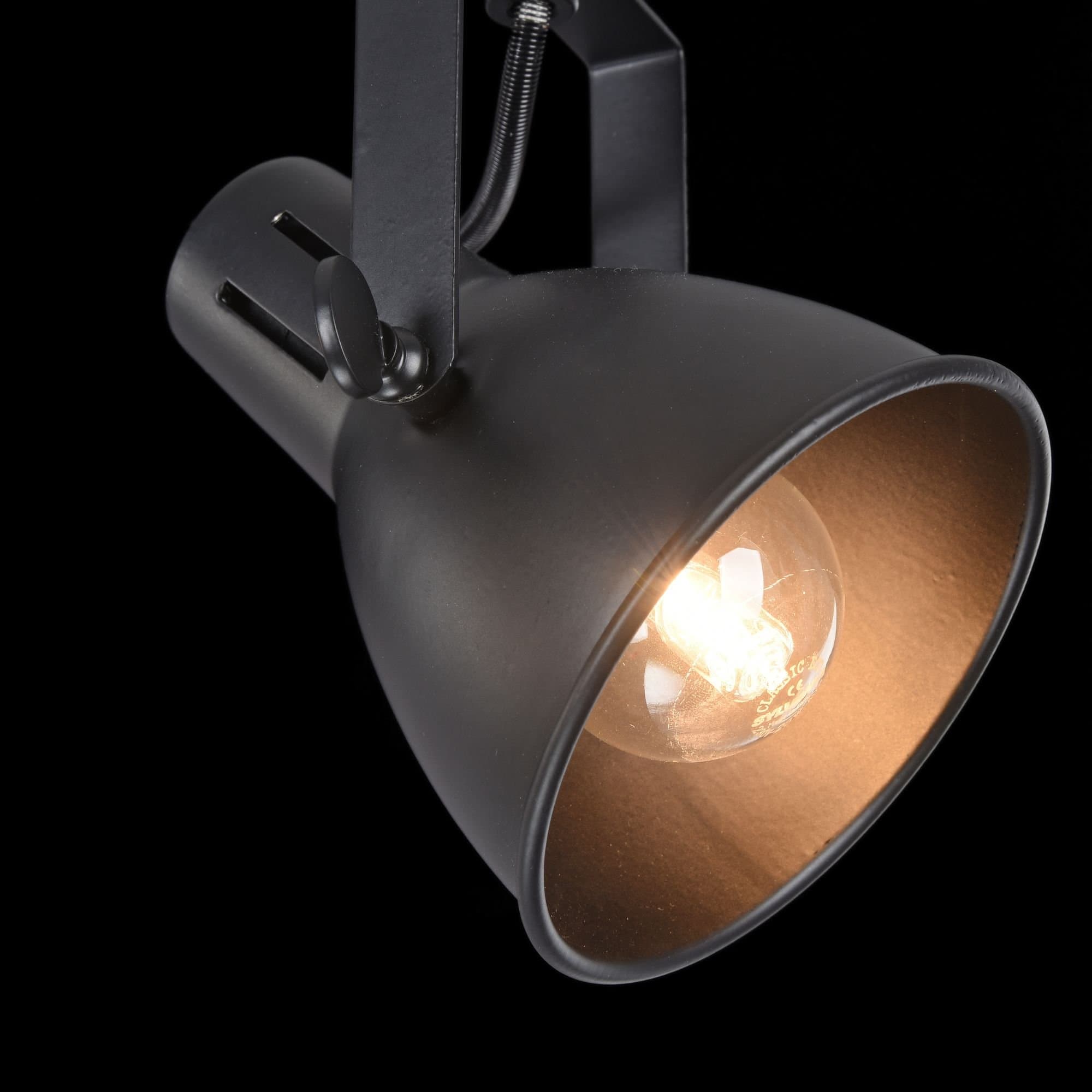 Freya Loft Ibbi Черный Спот E14 40W FR4276-CW-03-B — миниатюра 7