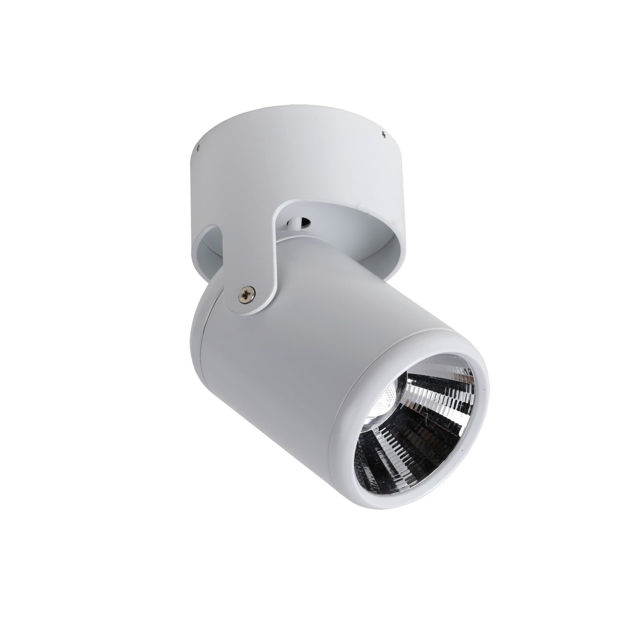 Favourite Projector Светильник потолочный металл белого цвета, угол наклона регулируется COB LED*12W, Ra>80, beam angle:12°, 4000K 1980-1U