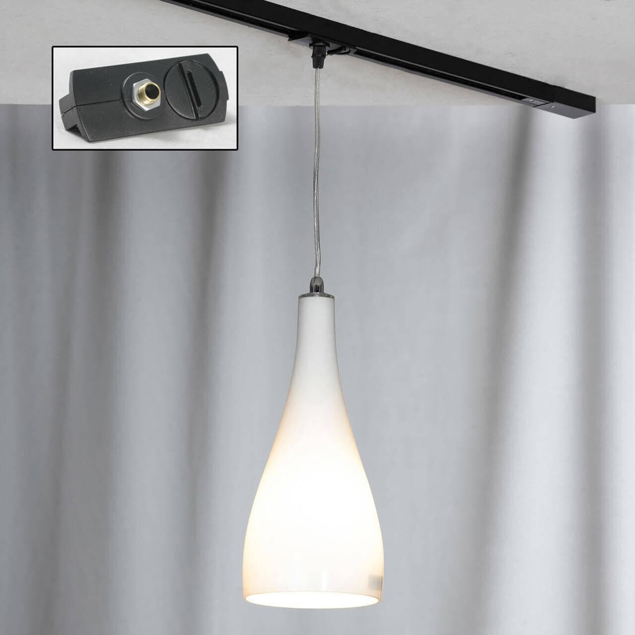 Lussole S.R.L Металл Хром /  Стекло трековый светильник однофазный E27 60W LSF-1106-01-TAB — миниатюра 1