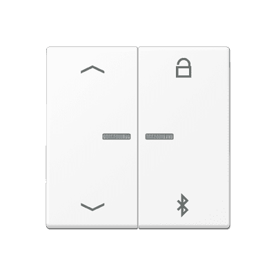 JUNG A Flow/A 550 Белый матовый Таймер универсальный Bluetooth «стрелки» A1751BFPBTWWM