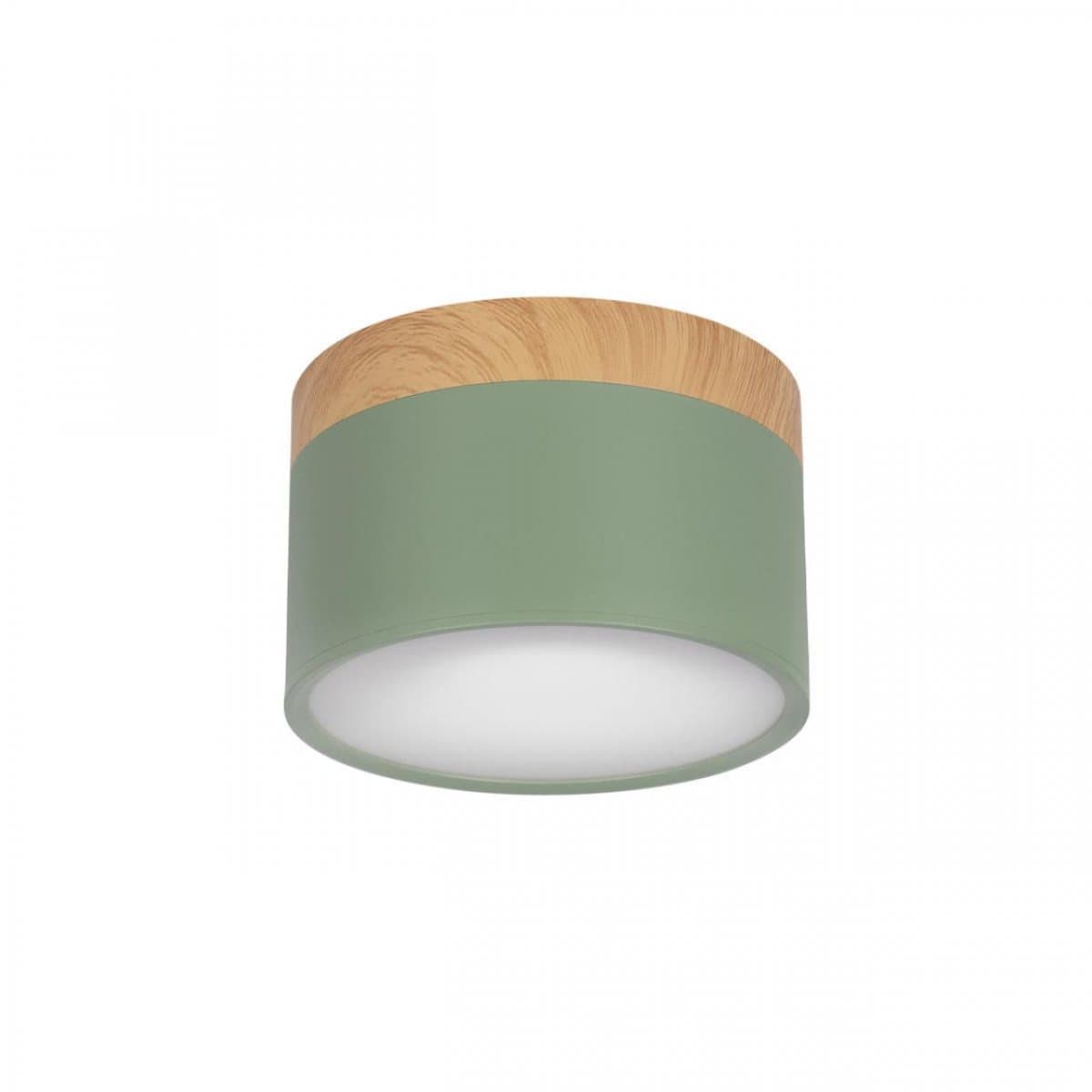 LOFT IT 10162 Green Накладной светильник Grape, шт
