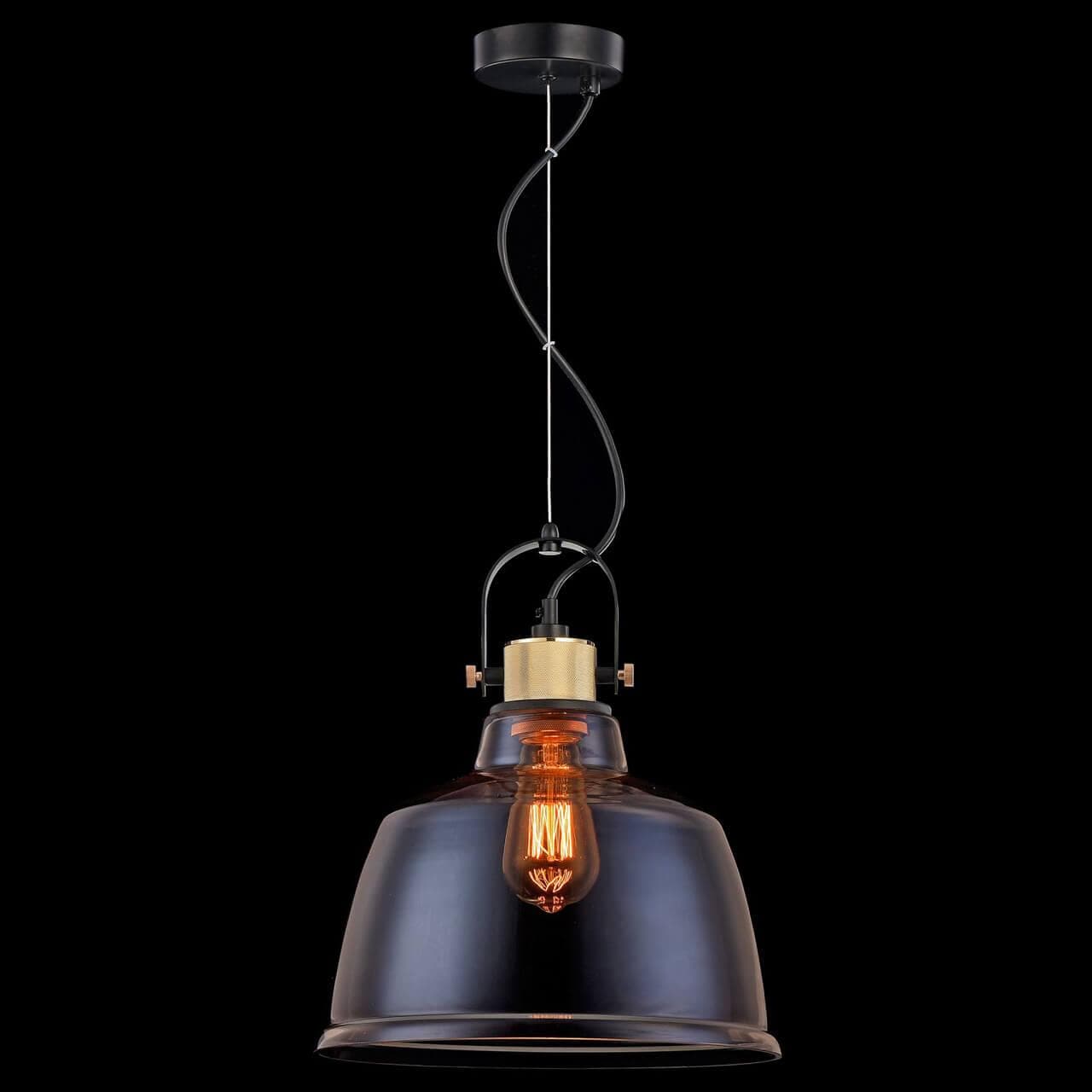 Maytoni Loft Irving Черный Подвес 1xE27 40W T163PL-01R — миниатюра 11
