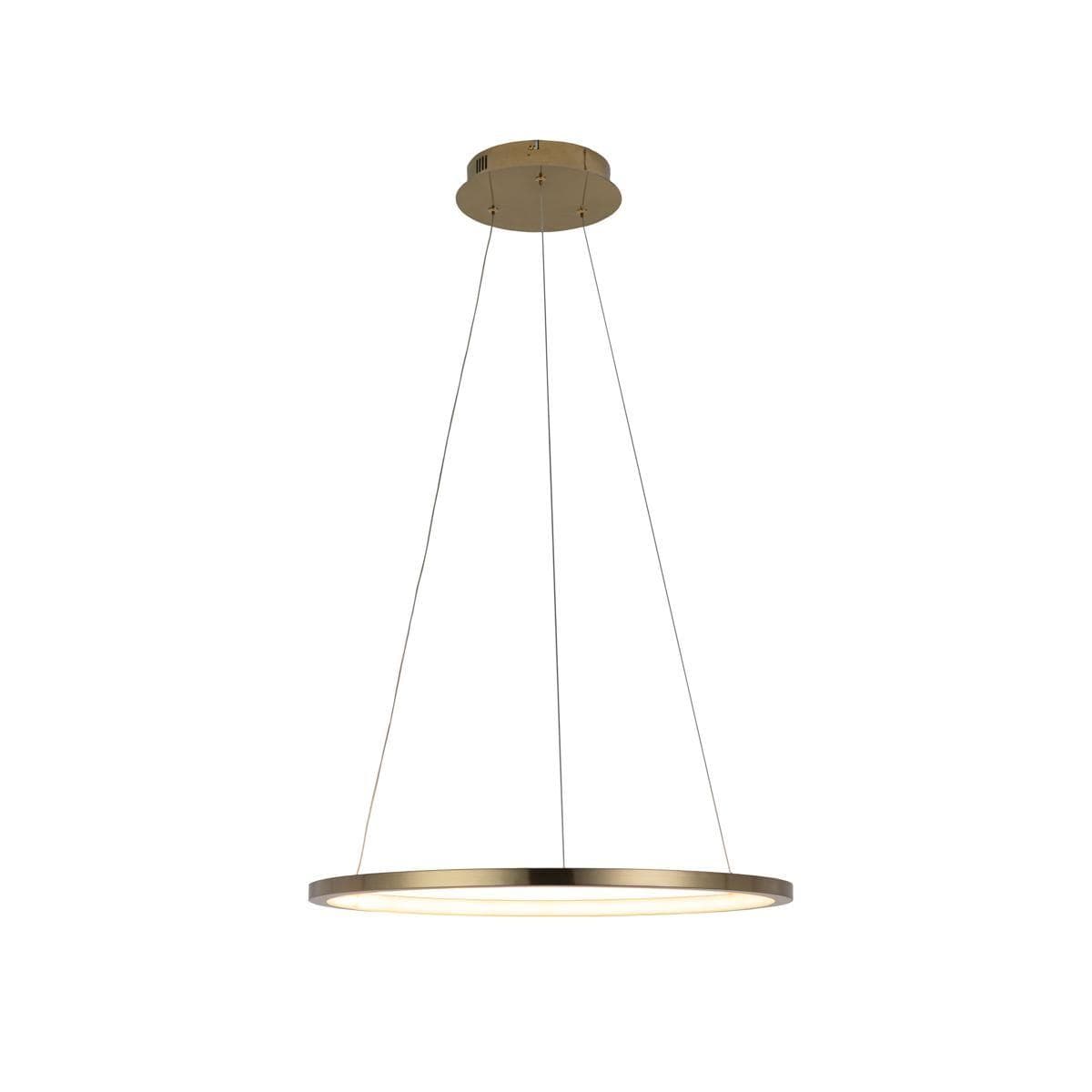 LOFT IT 10014M Светильник подвесной Ring, шт — миниатюра 3