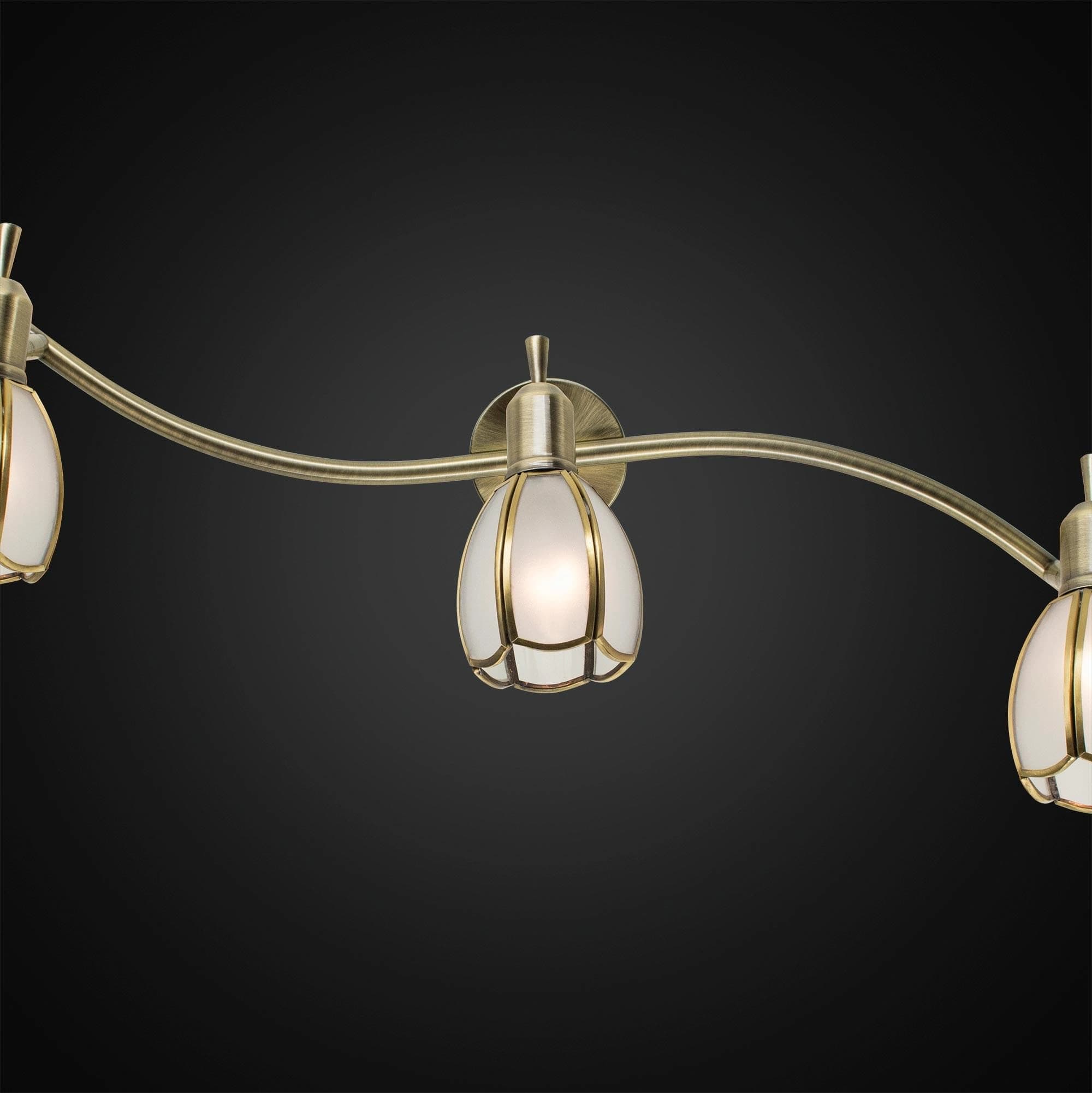 Citilux CL522631 Альтен-2 Бронза Светильник Наст.-Потол. — миниатюра 3