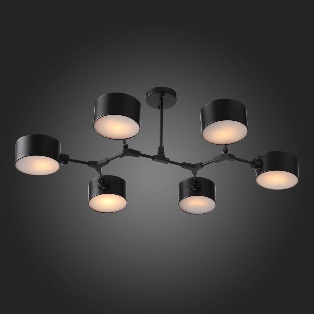 Evoluce SLE183402-06 Светильник потолочный Черный/Черный E14 6*60W — миниатюра 4