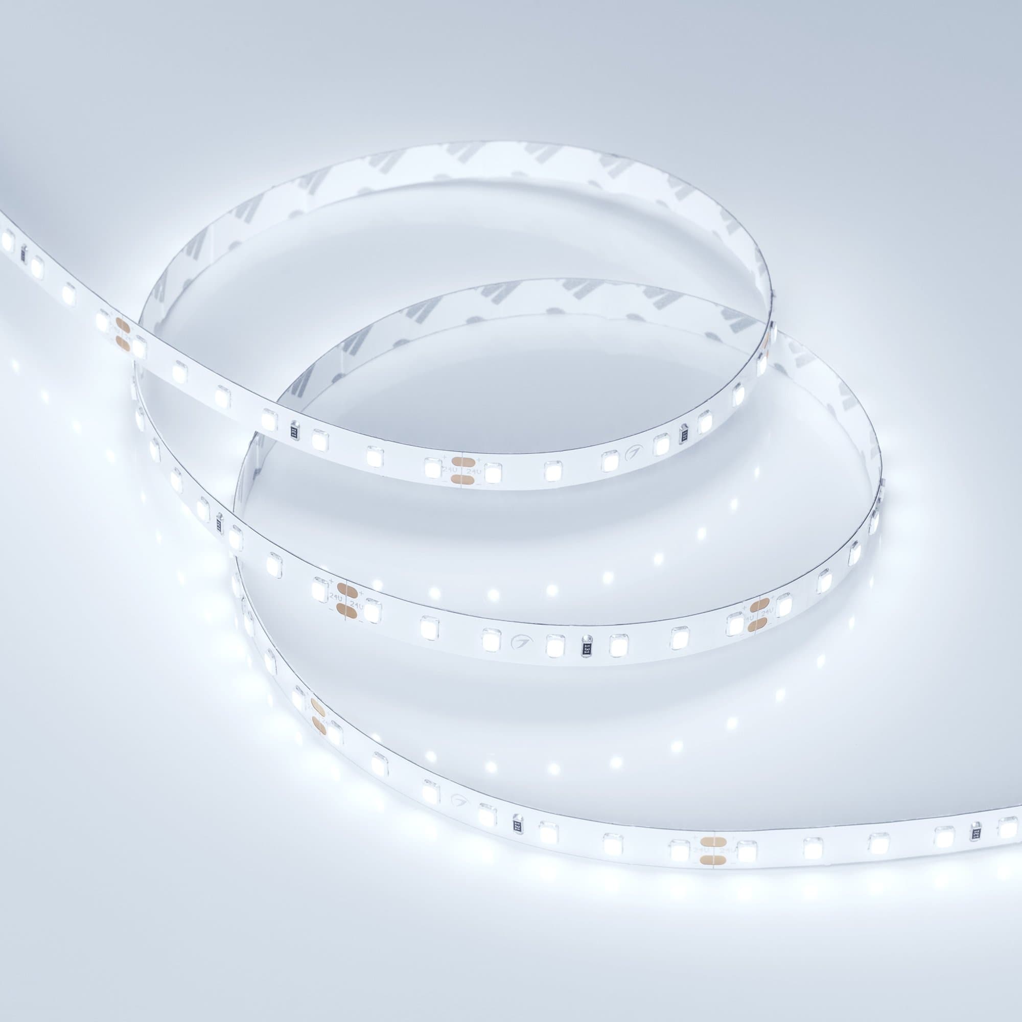 Arlight Светодиодная лента RT 2-5000 24V Cool 8K 1.6x (2835, 490 LED, PRO) (10 Вт/м, IP20) 019912(1) — миниатюра 3