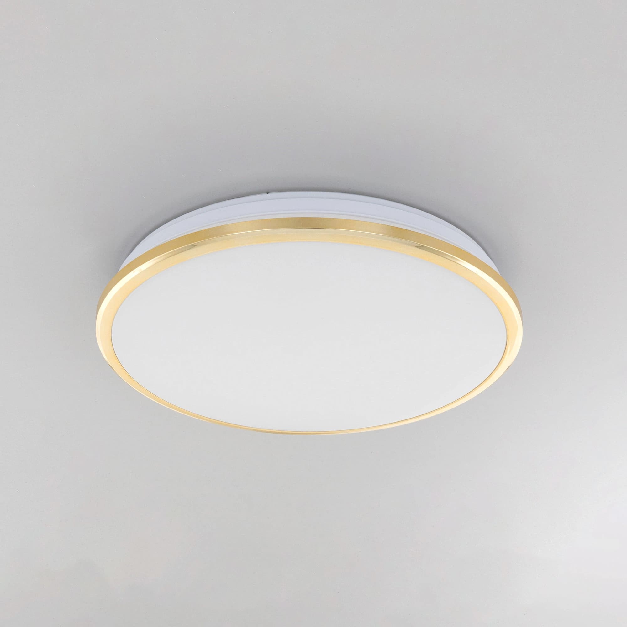 Citilux Потолочный светодиодный светильник Луна CL702222W — миниатюра 5