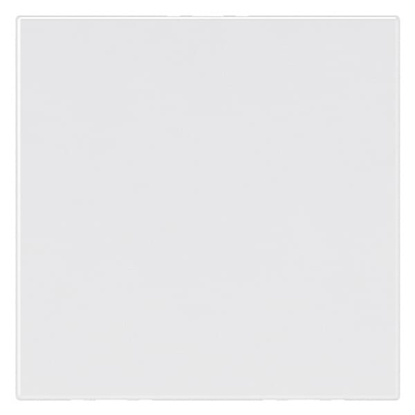 Legrand Mosaiс Заглушка - Программа Mosaic - 2 модуля - белая 277071L — миниатюра 1