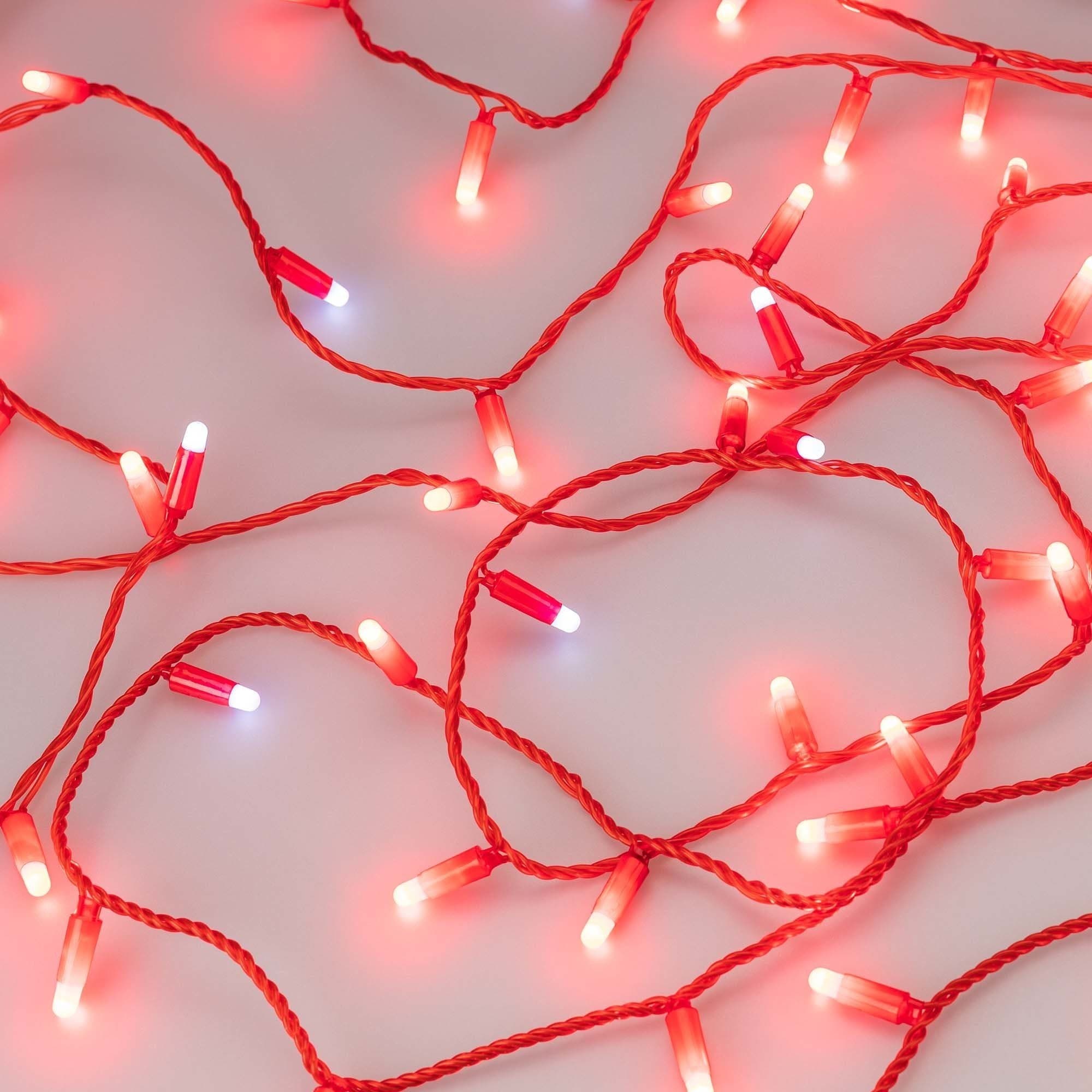 Arlight Светодиодная гирлянда ARD-STRING-CLASSIC-10000-RED-100LED-MILK-FLASH Red (230V, 7W) (Ardecoled, IP65) 031195 — миниатюра 3