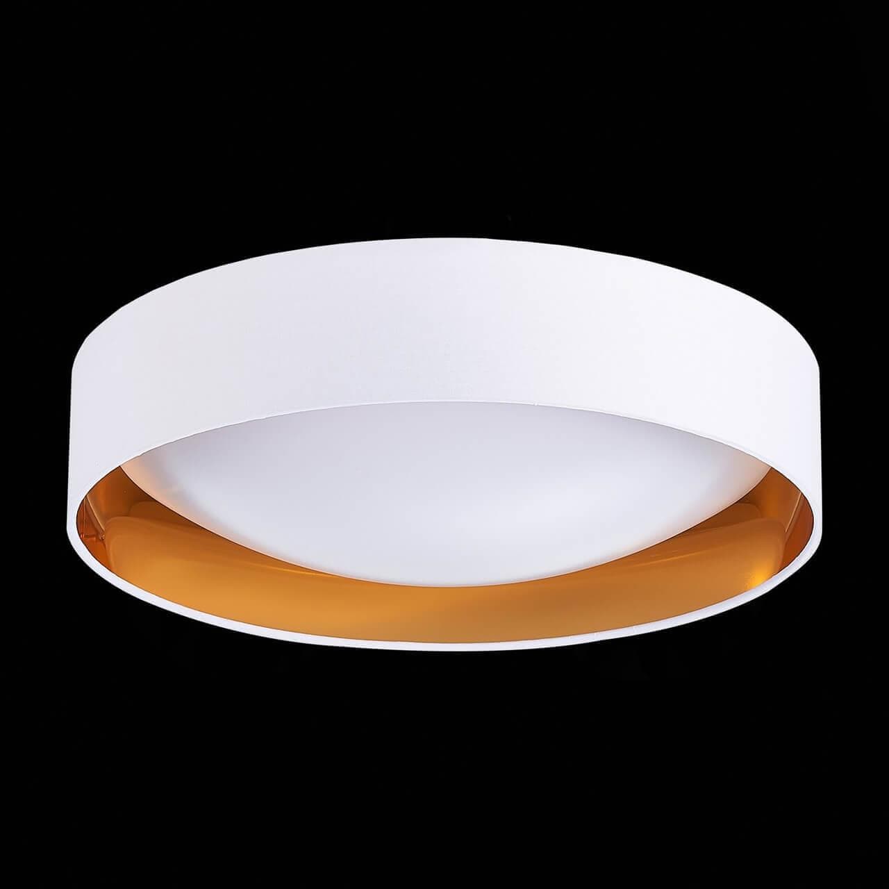 Evoluce SLE201122-01 Светильник потолочный Белый, Золото/Белый LED 1*24W — миниатюра 4