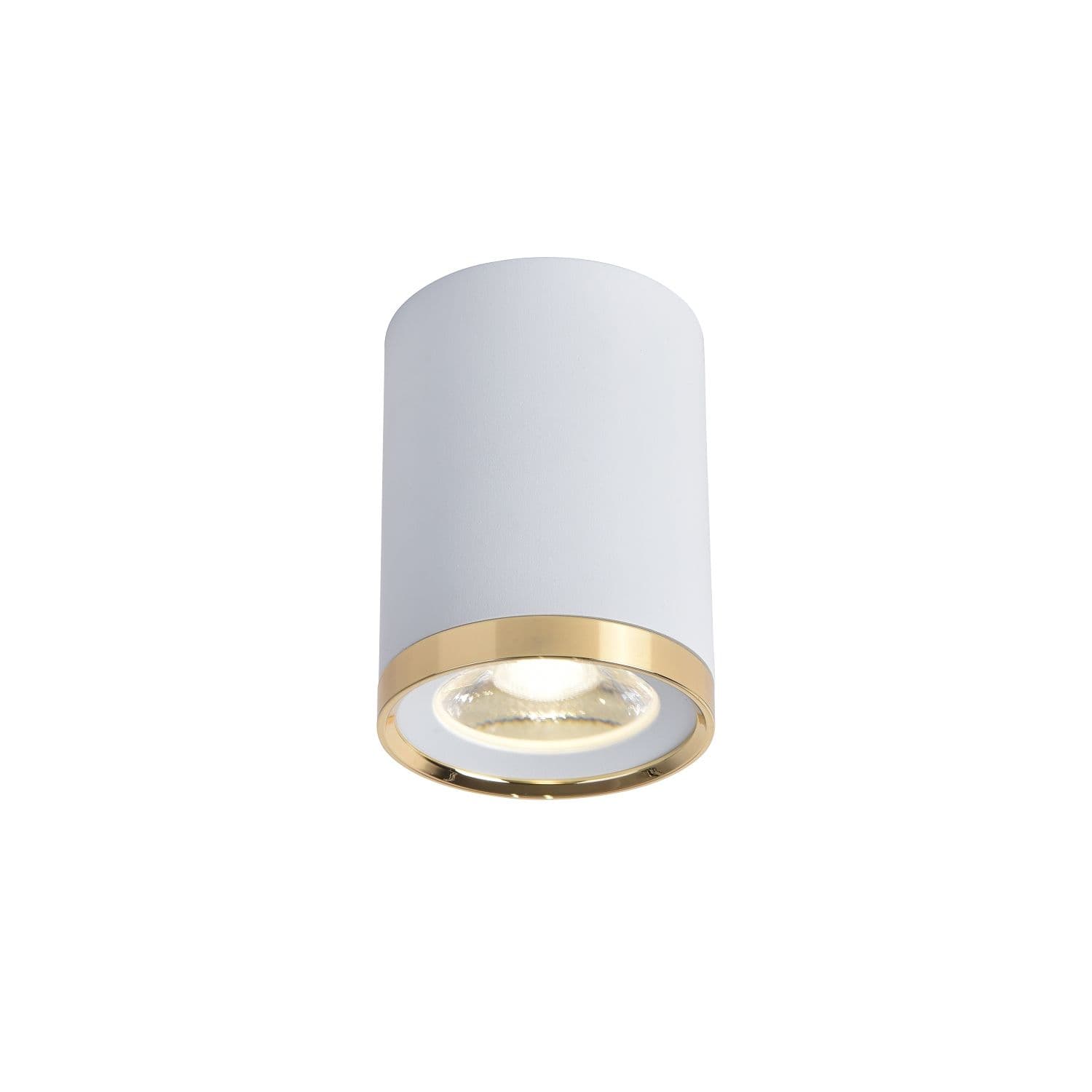 Favourite Потолочный светильник Prakash D68*H91 LED*6W, 500LM, 4000K, IP20, included 3085-1C