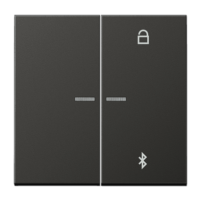JUNG Таймер универсальный Bluetooth, антрацит AL1751BTAN