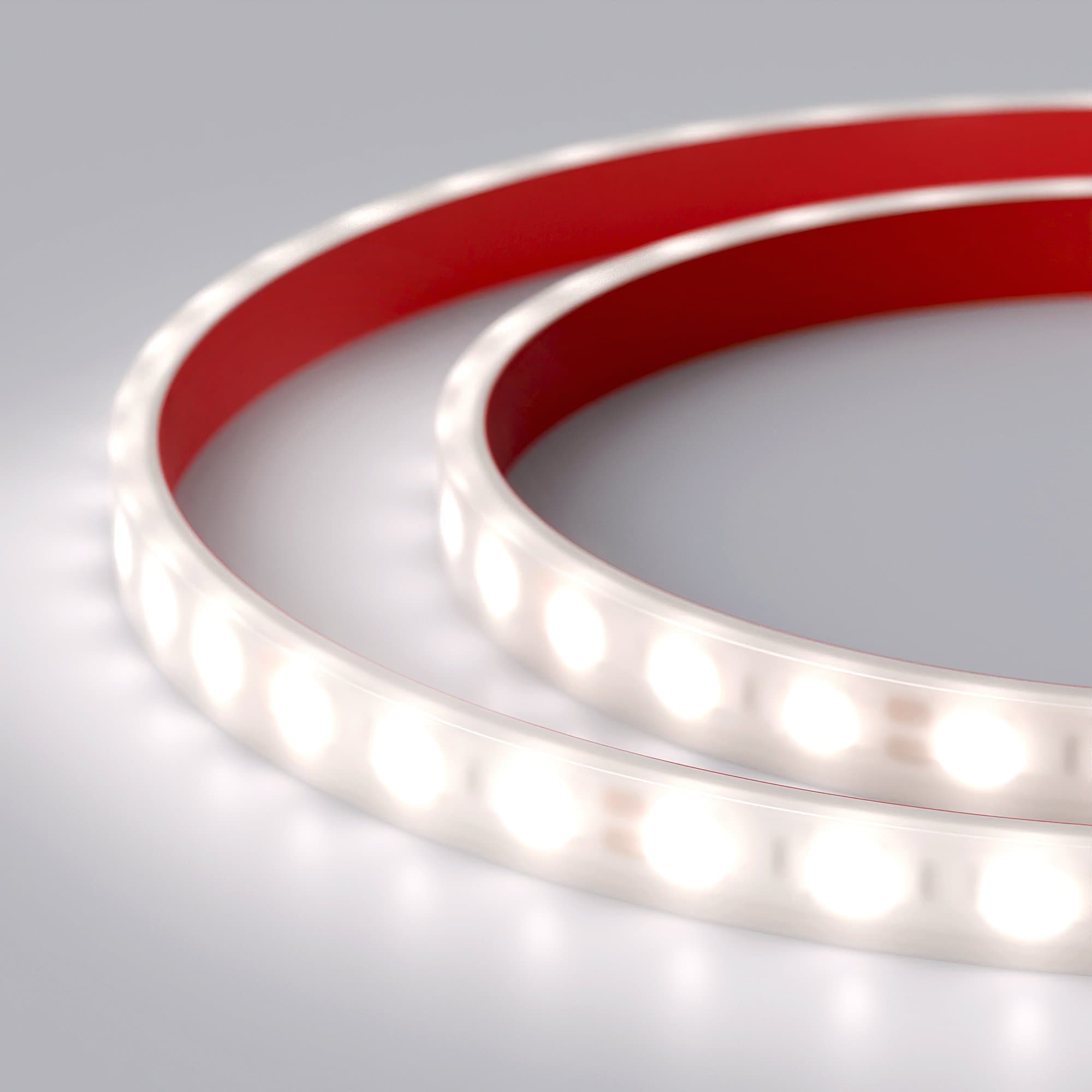Arlight Светодиодная лента RTW 2-5000PW 12V White6000 2x (5060, 300 LED, LUX) (14.4 Вт/м, IP66) 016169 — миниатюра 3