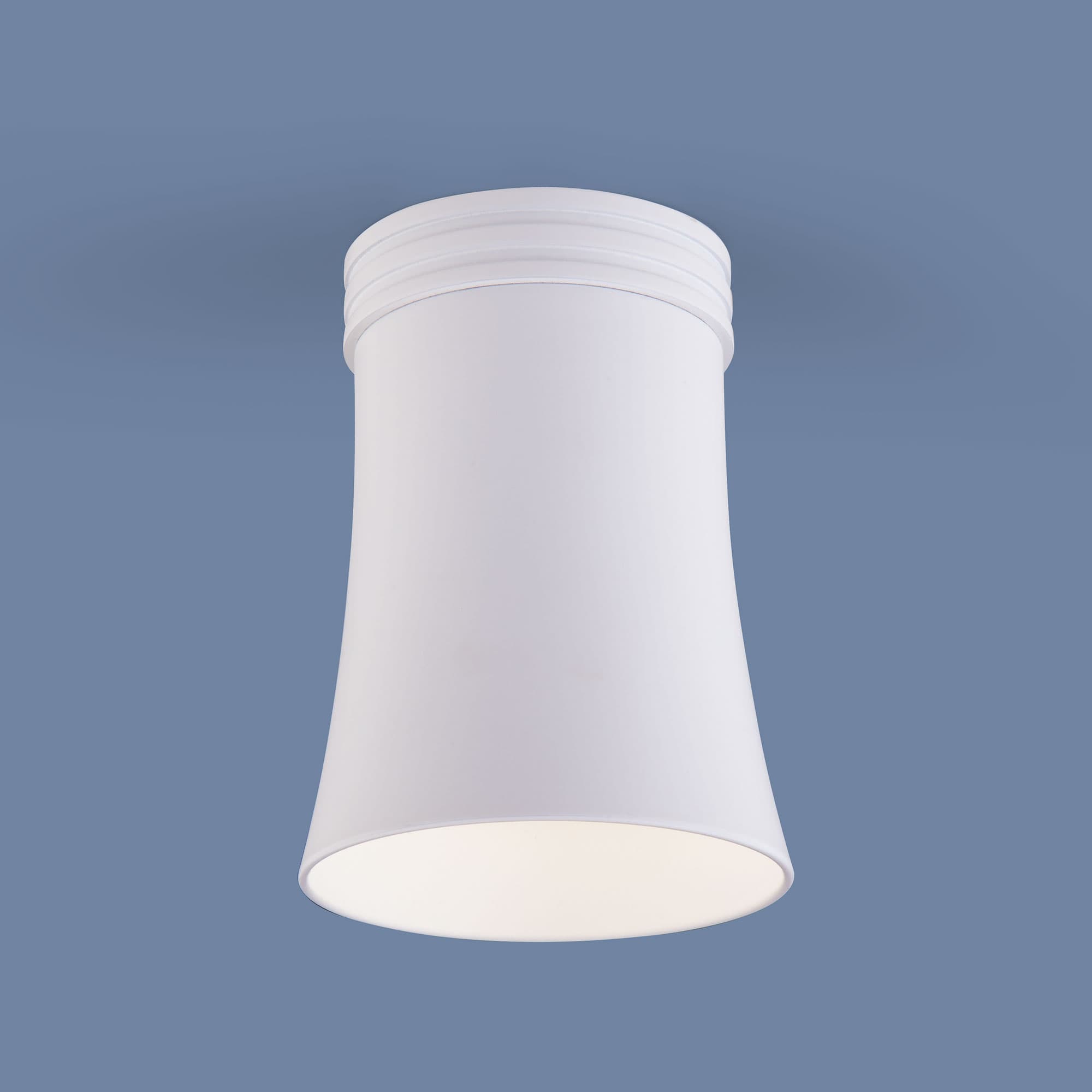 Elektrostandard DLN100 GU10 / Светильник накладной WH белый a043164