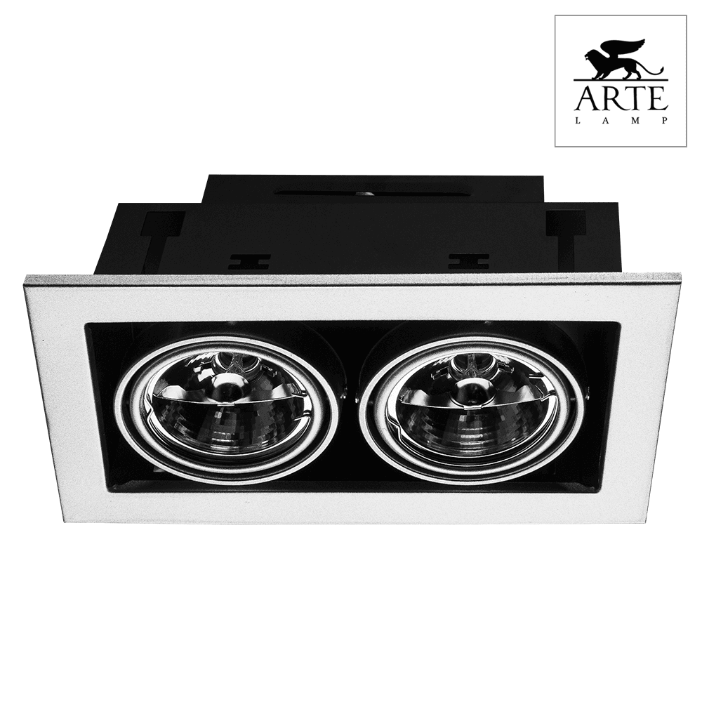 Arte Lamp Cardani Серебро/Серый Светильник точечный встаиваемый 50W G5,3 2x500lm A5930PL-2SI — миниатюра 2