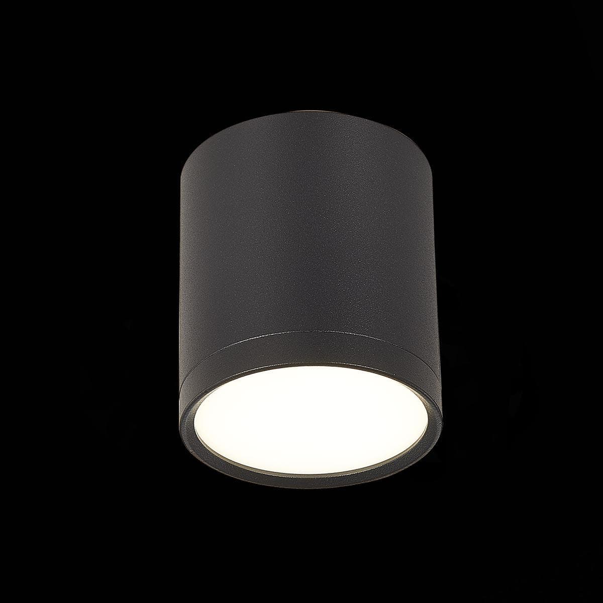 ST Luce ST113.442.05 Светильник потолочный Черный LED 1*5W 4000K 390Lm Ra>80 120° IP20 D68xH75 170-240V — миниатюра 2