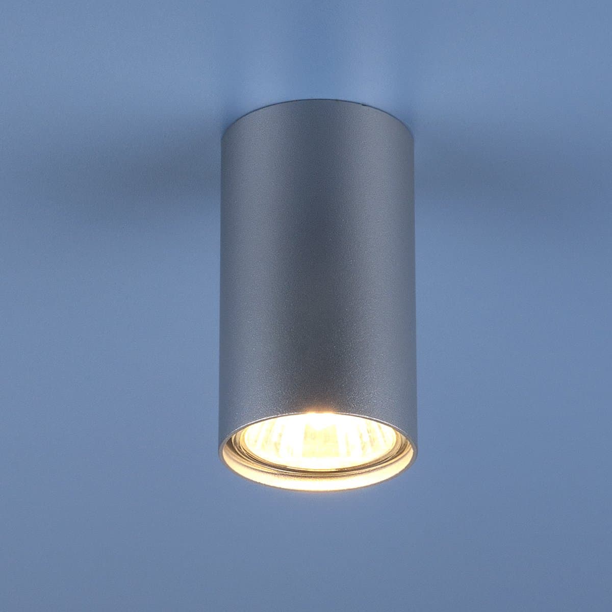 Elektrostandard 1081 GU10 / Светильник накладной SL серебро (5257) a037714
