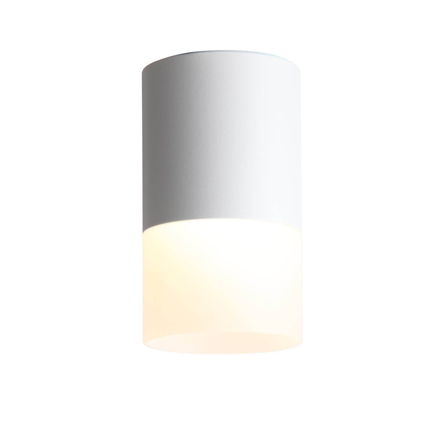 ST Luce ST100.502.10 Светильник потолочный Белый LED 1*10W 3000K 780Lm Ra>80 120° D78xH135 170-240V