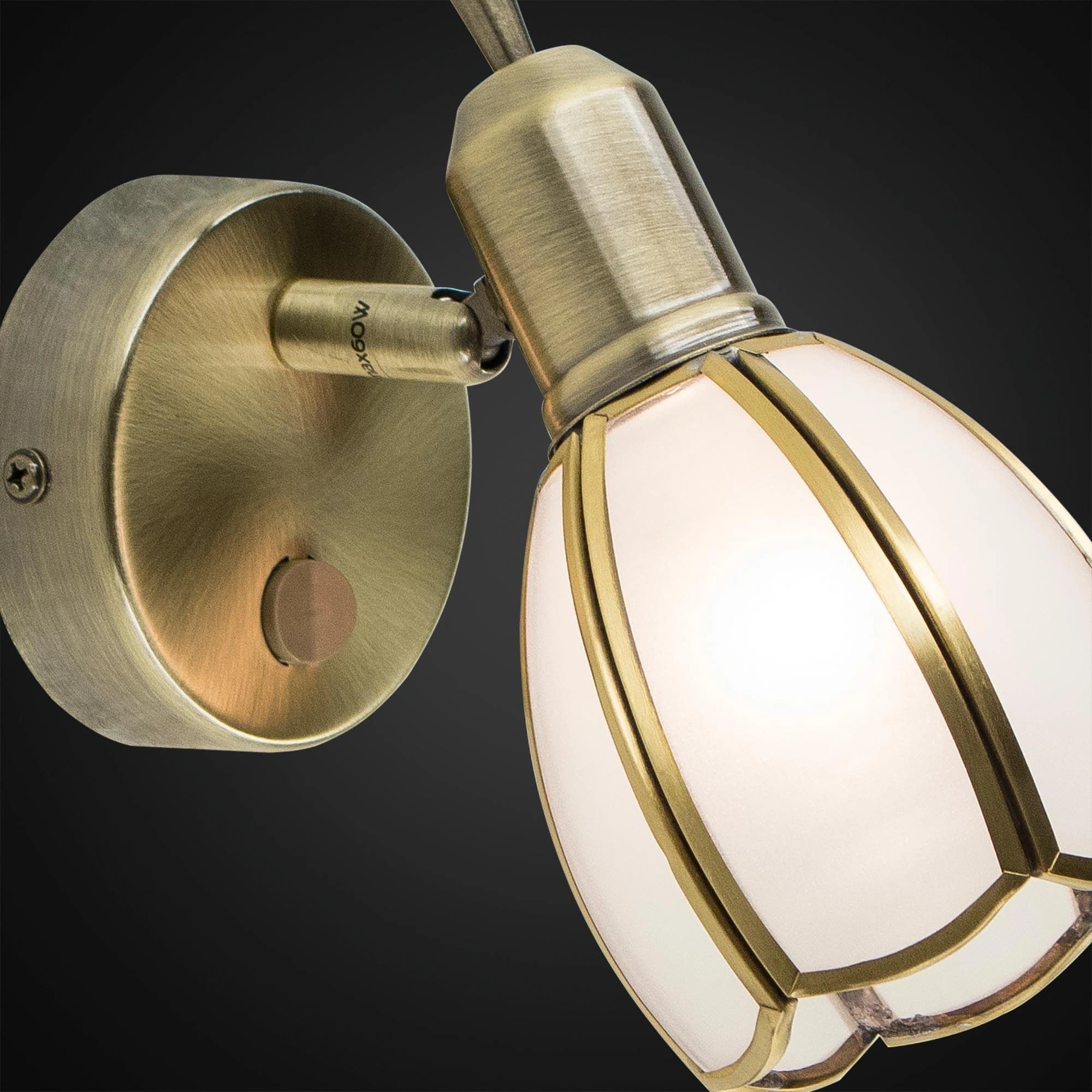 Citilux CL522611 Альтен-2 Бронза Светильник Наст.-Потол. — миниатюра 3