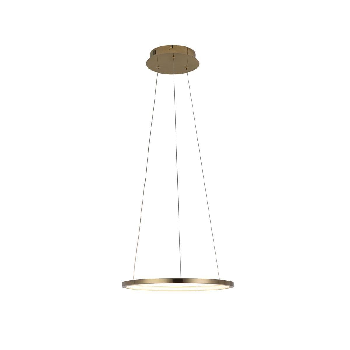 LOFT IT 10014S Светильник подвесной Ring, шт — миниатюра 3