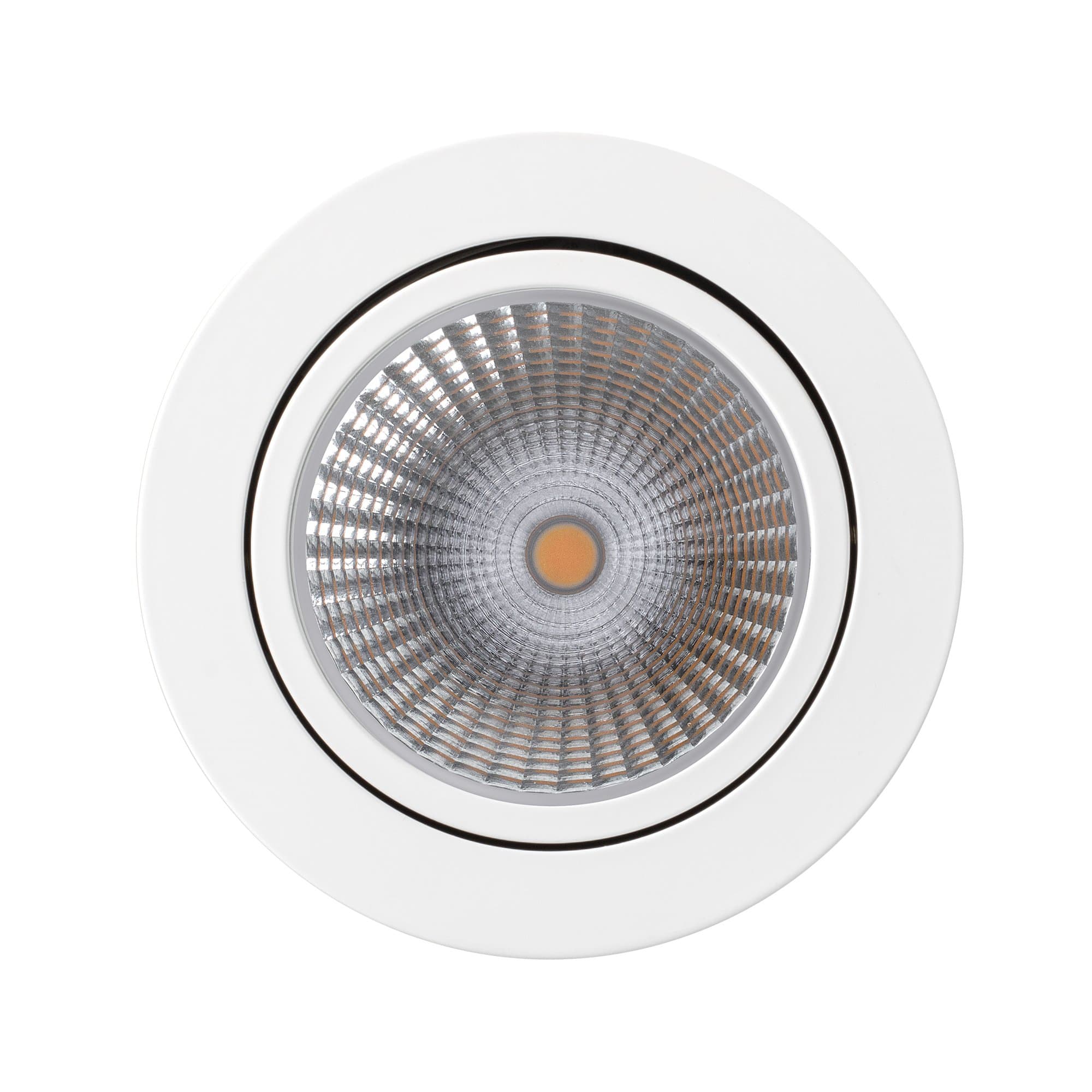 Arlight Светильник SP-FOCUS-R120-16W Day White (IP20 Металл, 3 года) 021426 — миниатюра 6