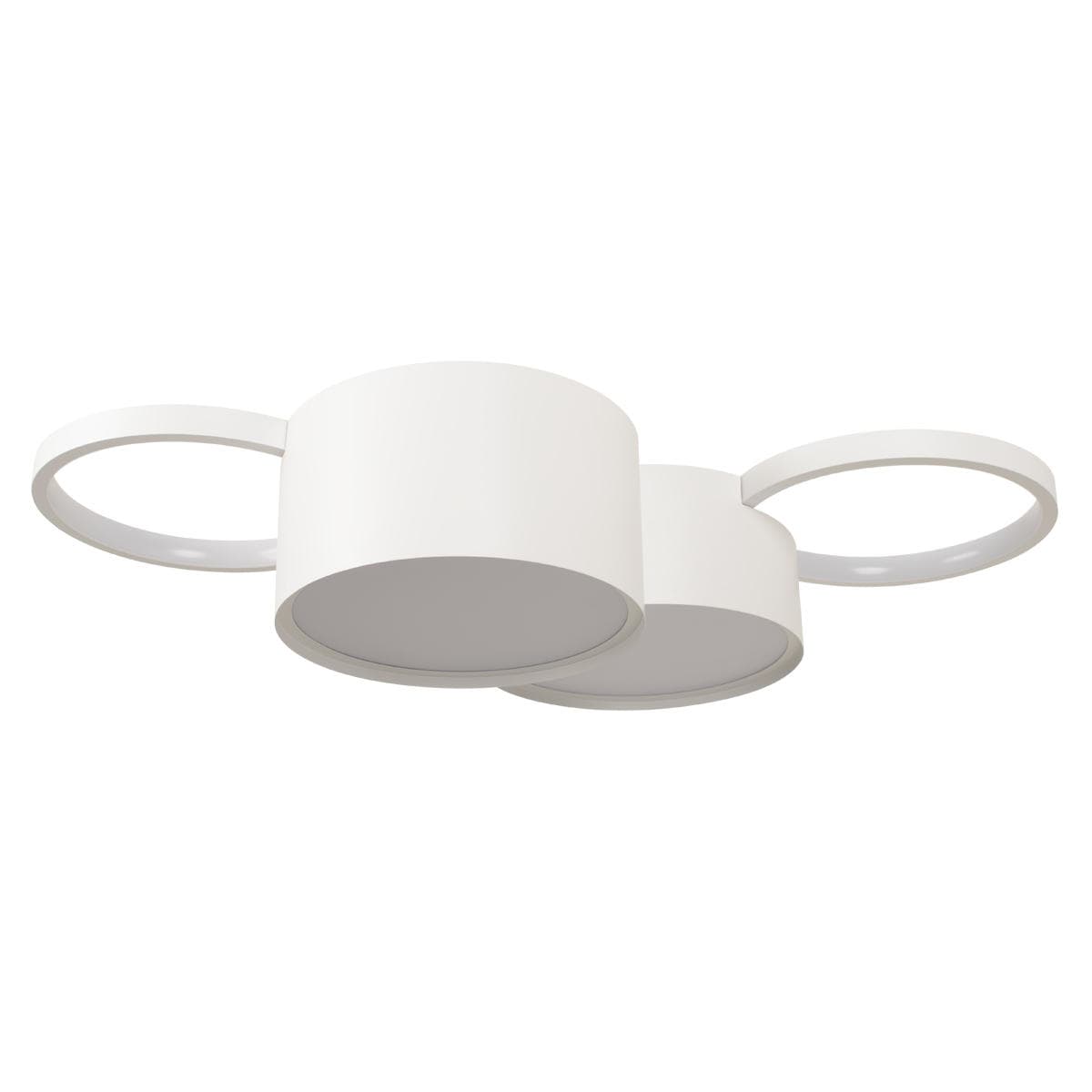 LOFT IT 10317/4 White Потолочный светильник Pin