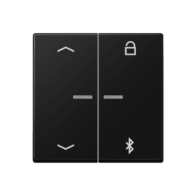 JUNG A Flow/A 550 Черный матовый Таймер универсальный Bluetooth «стрелки» A1751BFPBTSWM