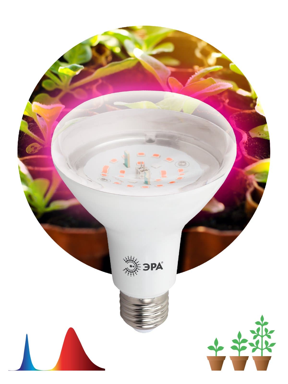 ЭРА FITO-16W-RB-E27-K Лампа красно-синего спектра