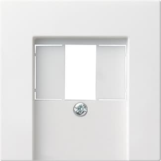 Gira S-55 Бел Накладка ТЛФ розетки TAE, аудиорозетки(110910),USB (107000) с шильдиком 027627
