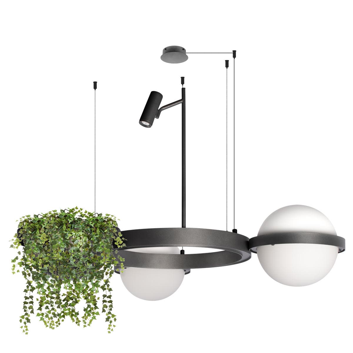 LOFT IT 10121/2 Dark grey Подвесной светильник Jardin