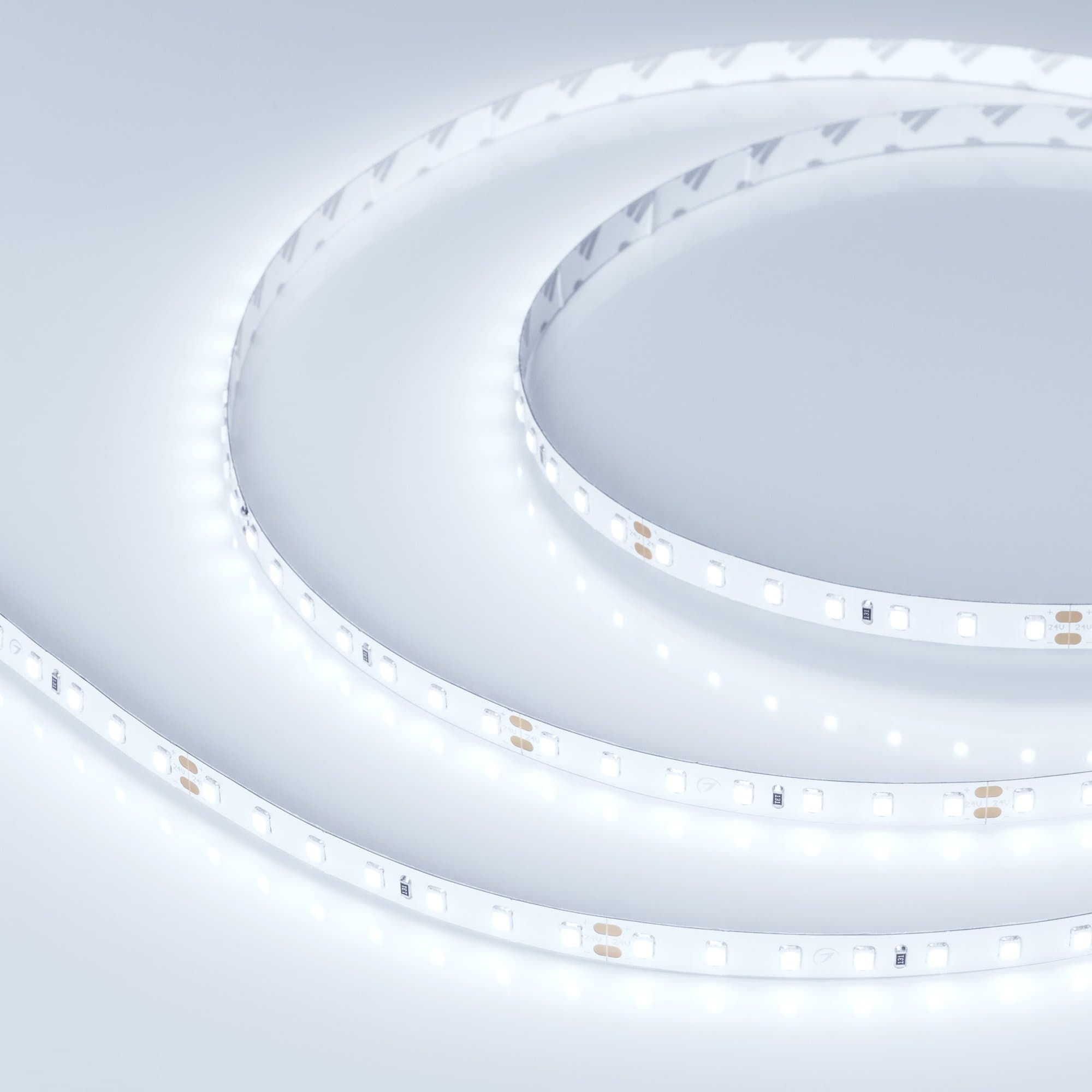 Arlight Светодиодная лента RT 2-5000 24V Cool 8K 1.6x (2835, 490 LED, PRO) (10 Вт/м, IP20) 019912(1) — миниатюра 6