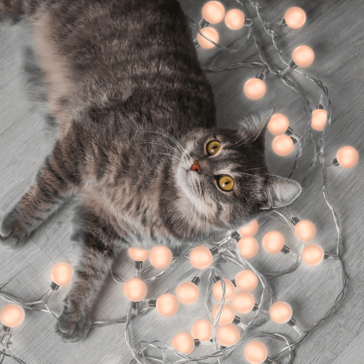 Gauss Гирлянда садовая на солнечной батарее 20 LED ламп Большие Шары Белый свет Solar, 1/6 GS034 — миниатюра 2