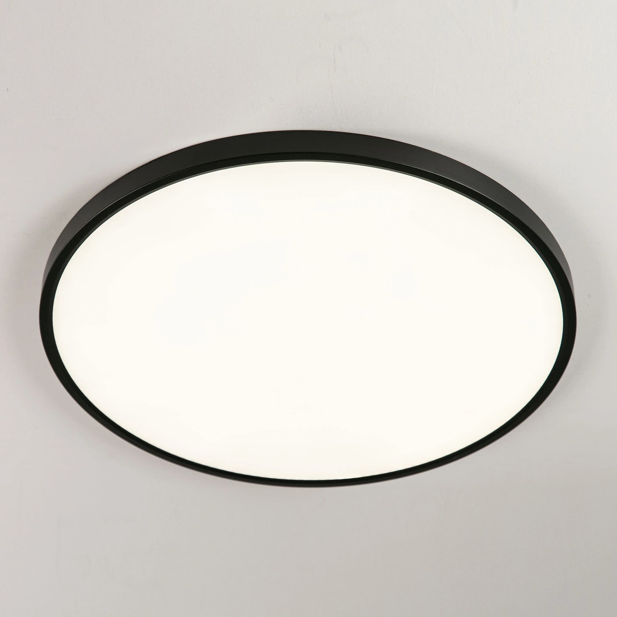 Citilux CL738501V Светильник Бейсик, черный наклодной LED 50W*Мульти — миниатюра 2