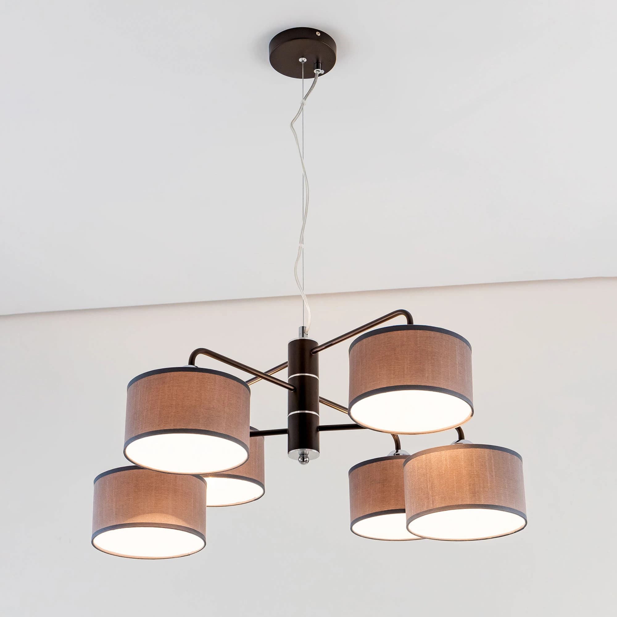 Citilux CL428261 Форма Кофе+Серый Люстра — миниатюра 16