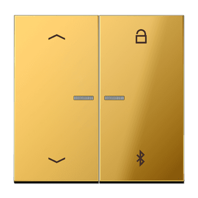 JUNG Таймер универсальный Bluetooth "стрелки", имитация золота GO1751PBT