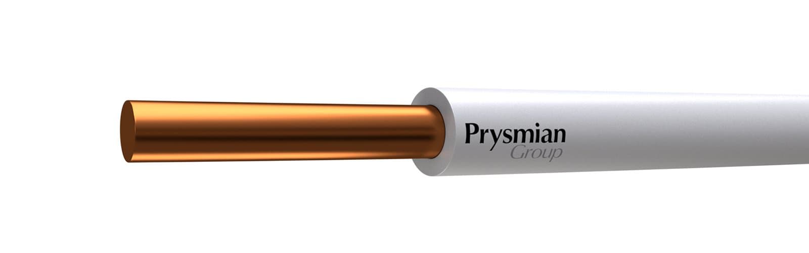 Провод ПуВнг(А) -LS 1x10 ок б РЭК-Prysmian 0601080206