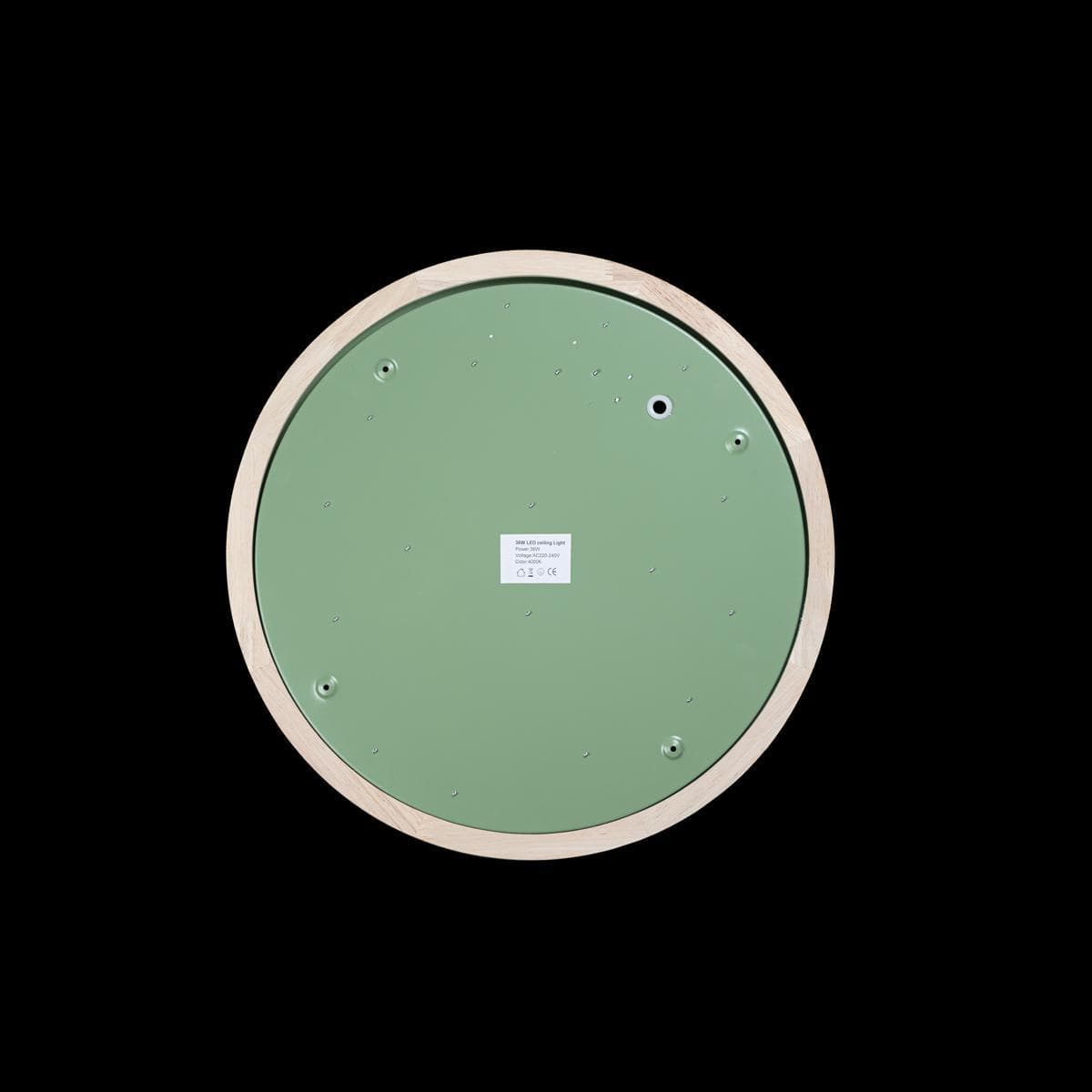 LOFT IT 10001/36 Green Светильник потолочный Axel, шт — миниатюра 2