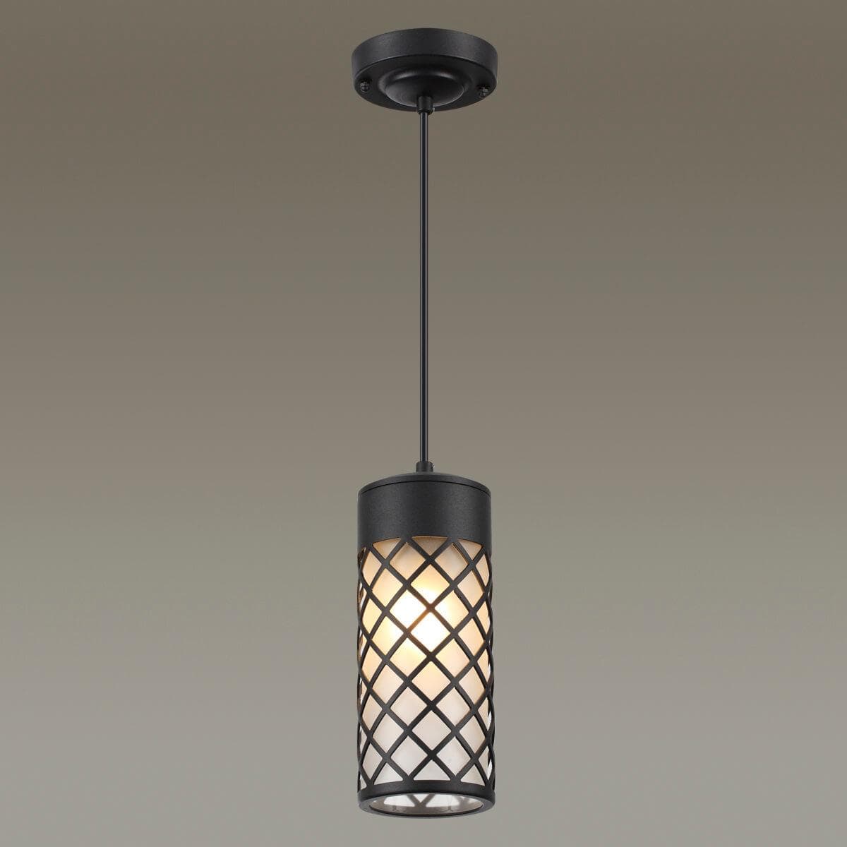 Odeon Light 4834/1 NATURE ODL21 567 черный/стекло Ландшафтный светильник-подвес E27 1*60W IP44 DUNES — миниатюра 3