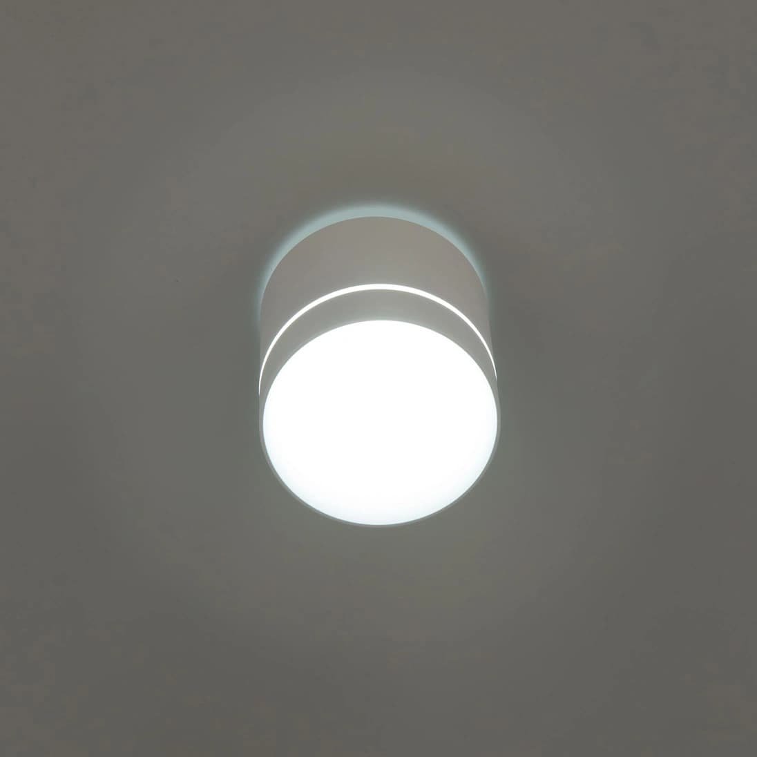Citilux CL745020N Борн Белый Светильник потолочный 12W*4000K — миниатюра 3