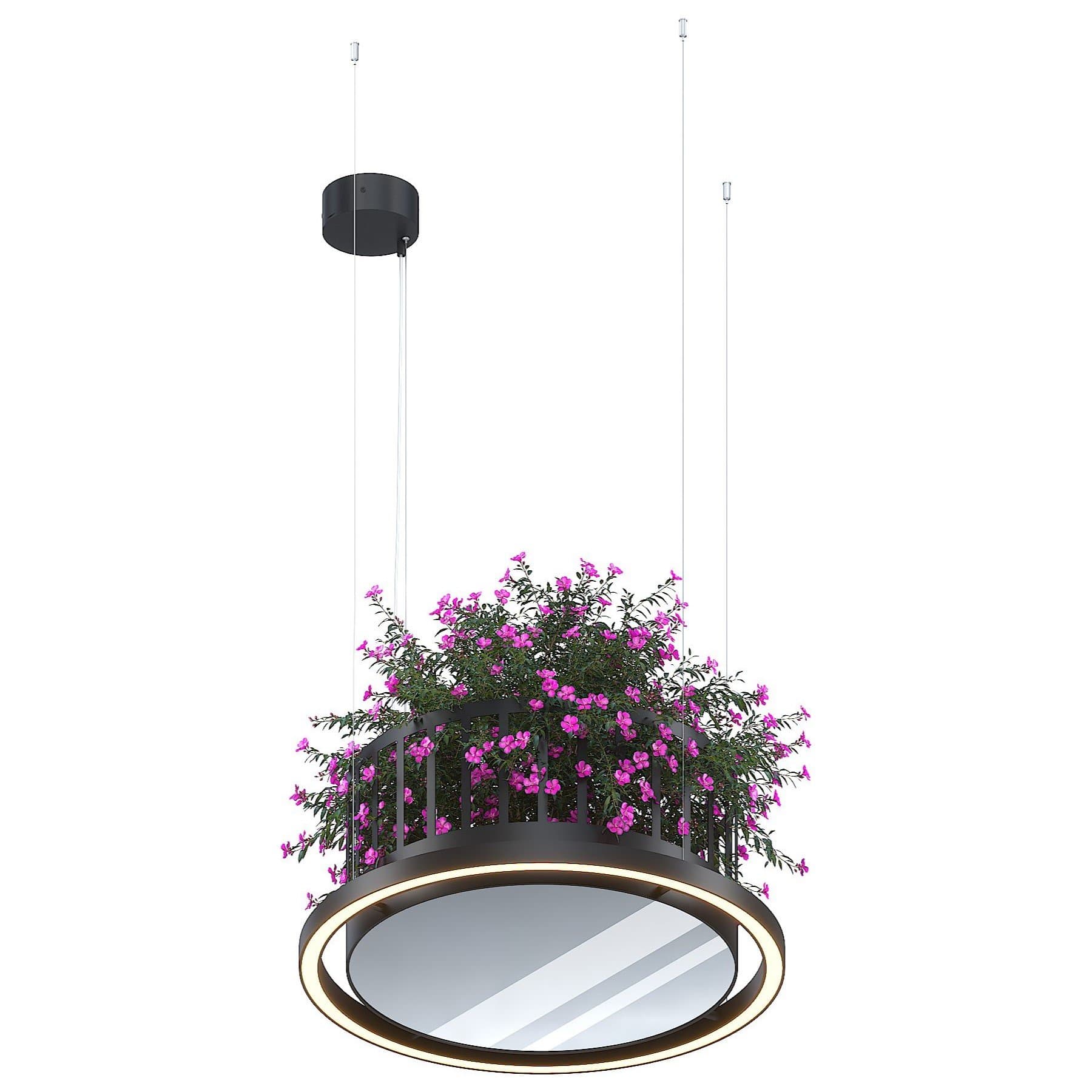 Svetholl Плант №2 D794 H350 Мощность: 31W ISPLA1-350000-079430031