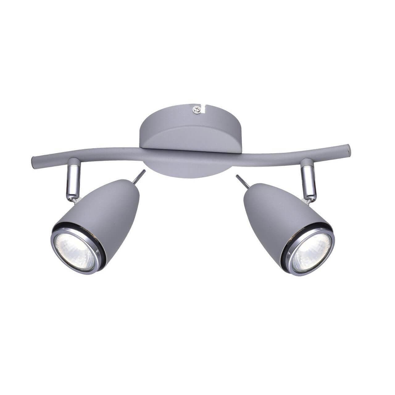 Arte Lamp REGISTA Спот 17*14*33 A1966AP-2GY — миниатюра 1